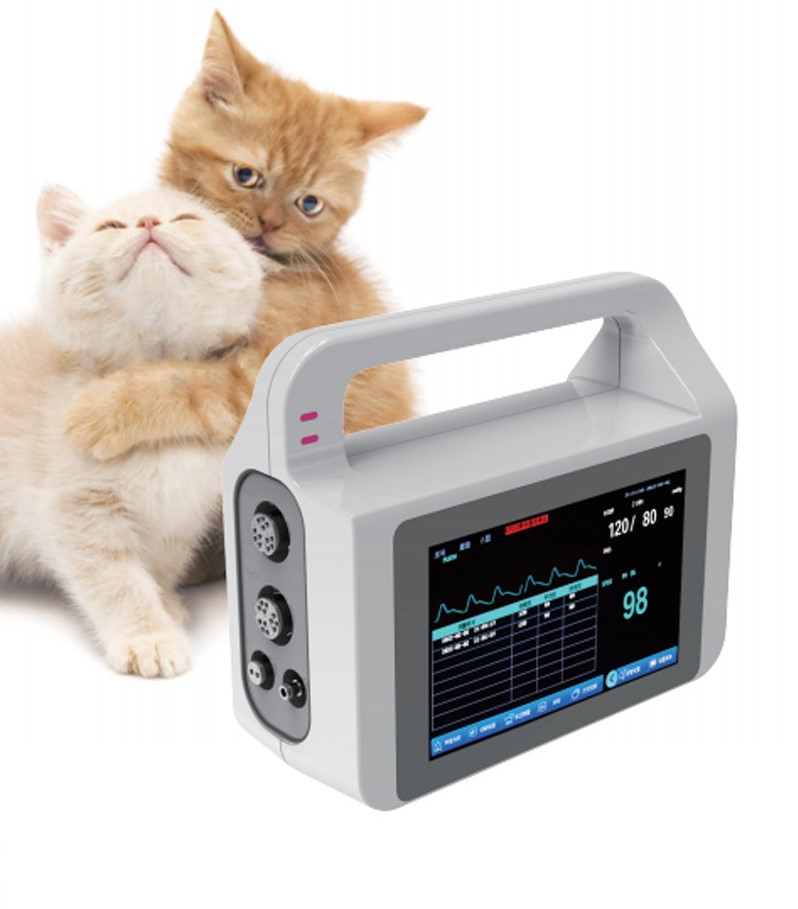 Fanless Patient Monitor