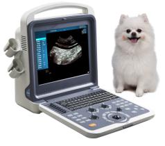 IK0 Vet Color Doppler