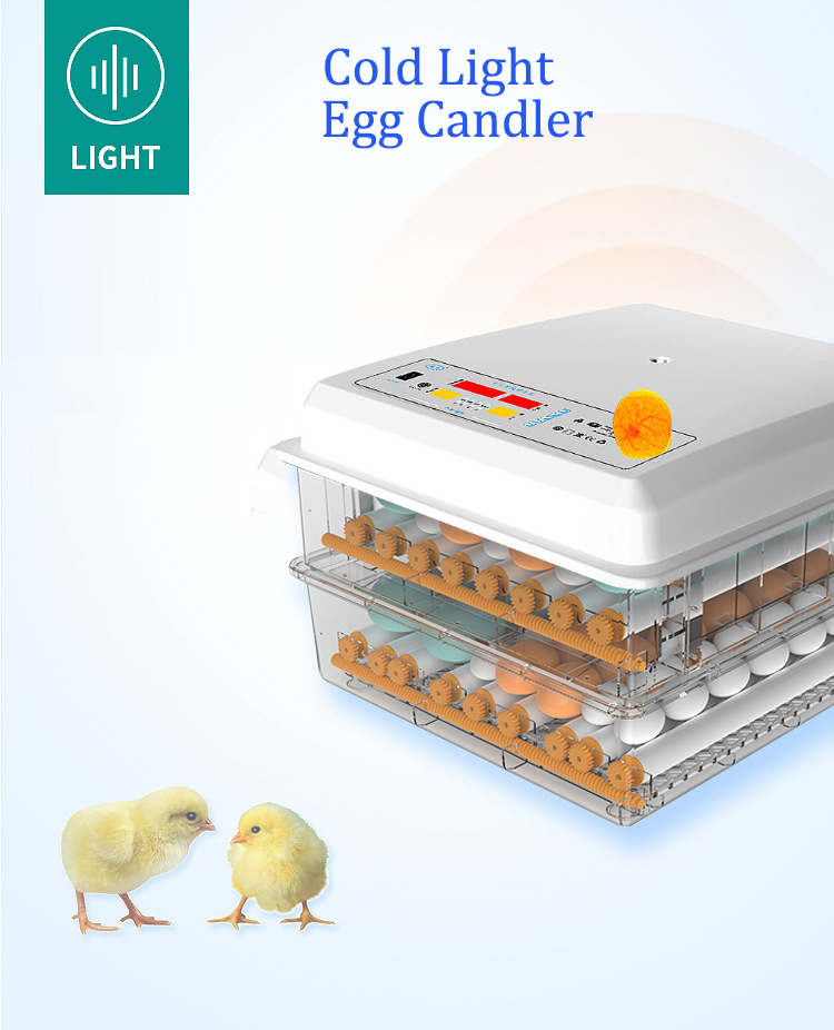 Egg-Incubator